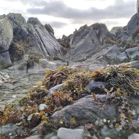 Port Lodge Northern Ireland Portaferry Bagian luar foto